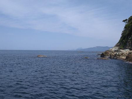 先週に引き続きエギング